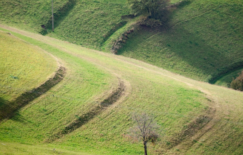 Multiple swales built into a hillside