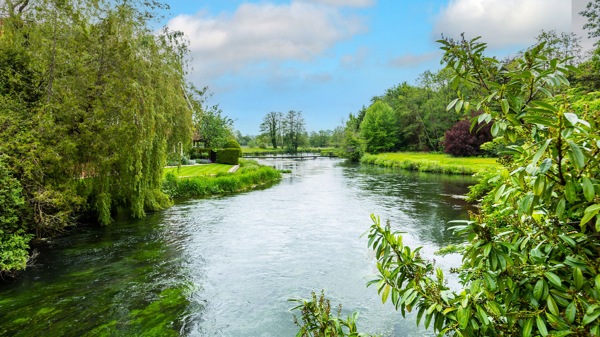 Landscape shot of a river