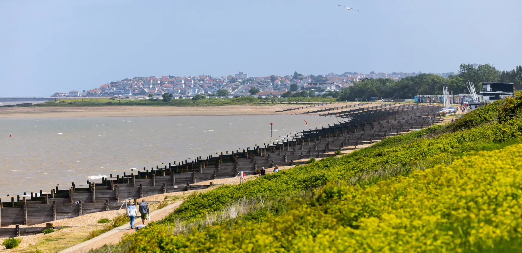 A wide shot of Tankerton beach and its numerous groynes